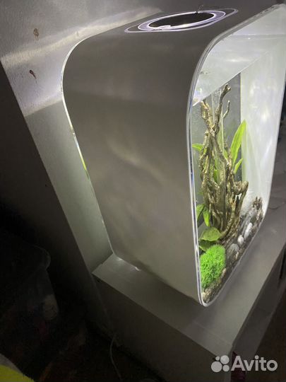 Аквариум biorb life 45 белый + декор-ветки