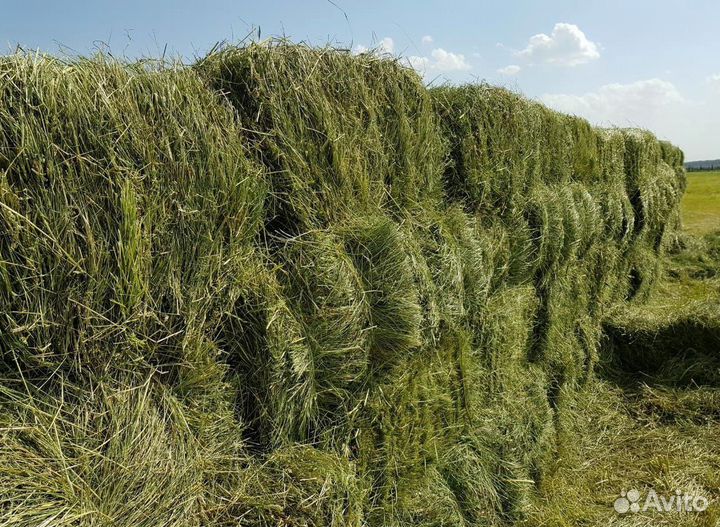 Сено и Опилки в тюках