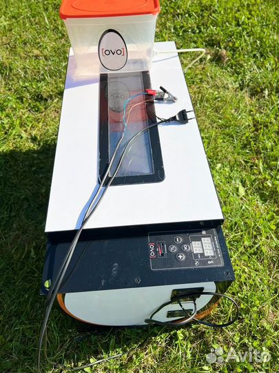 Инкубатор ovo 78