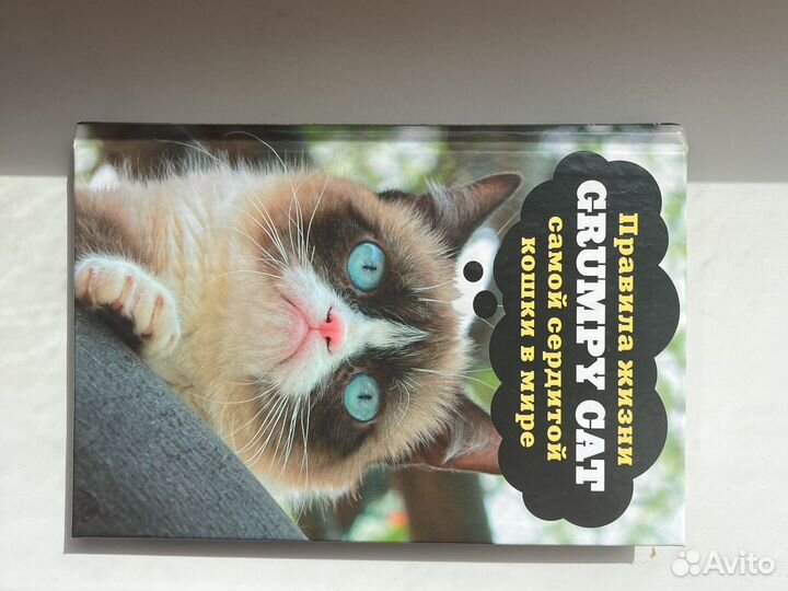 Grumpy cat сердитая кошка книга