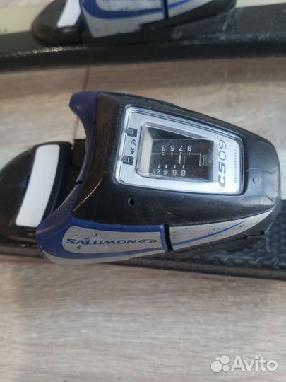 Горные лыжи