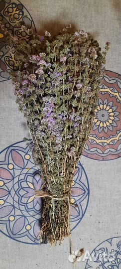 Травы для бани