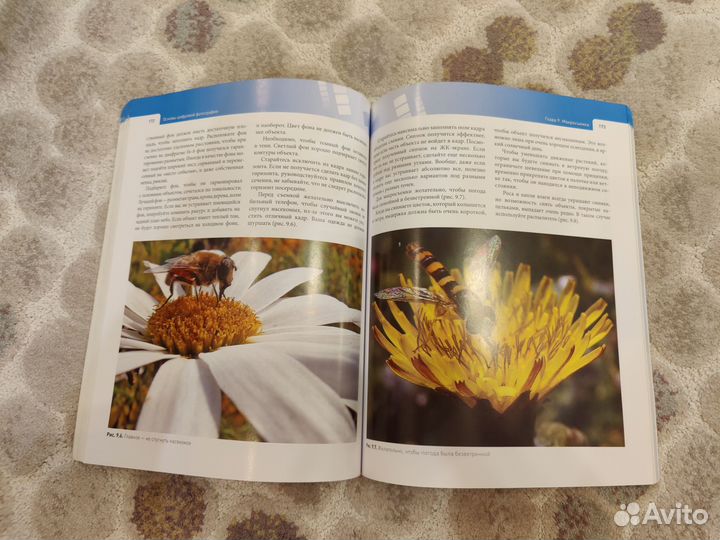 Основы цифровой фотографии. Артур Газаров