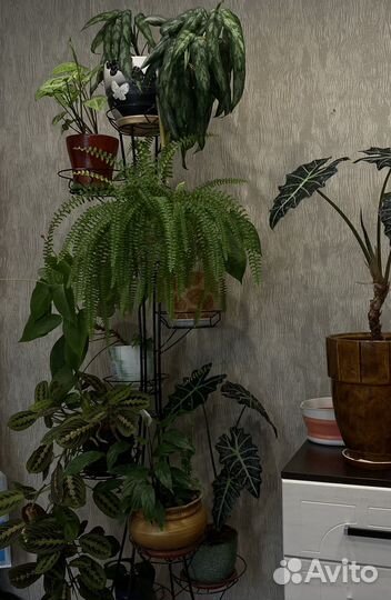 Подставка для цветов напольная