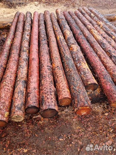 Столбы лиственные