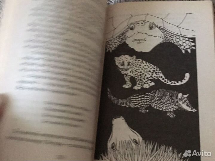 Рикки тикки тави