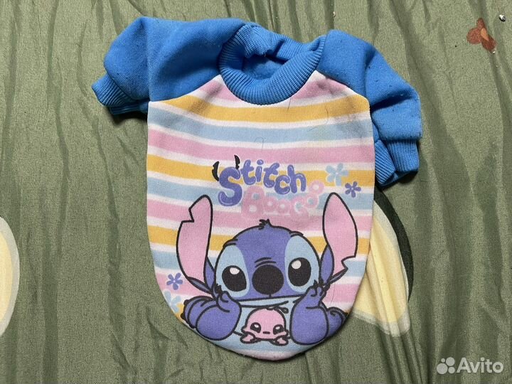 Одежда для собак