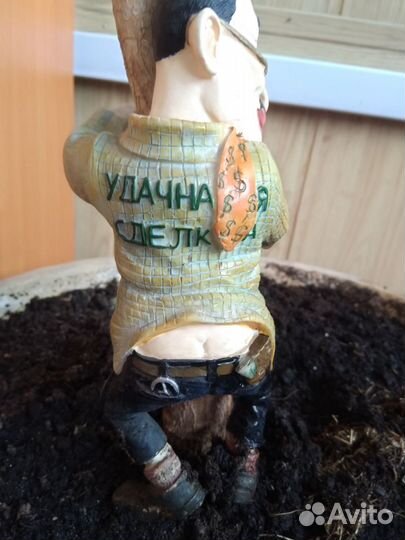 Драцена Маргината