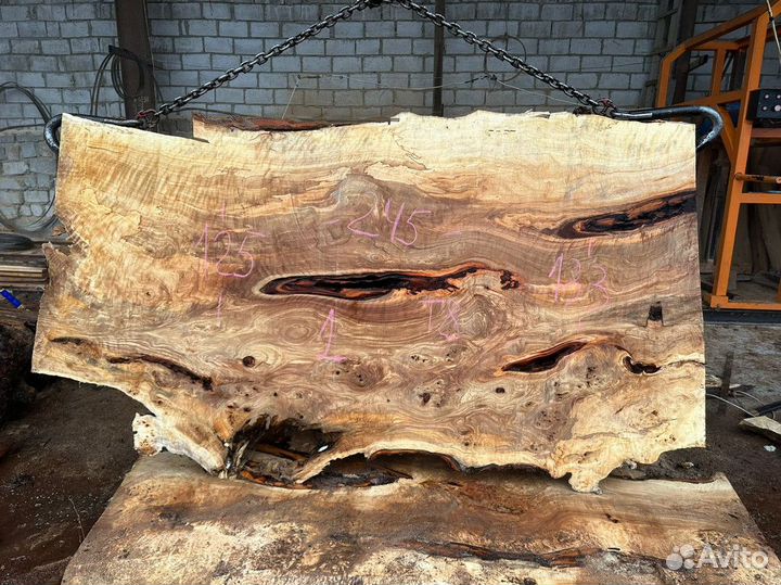 Слэб каповый тополь