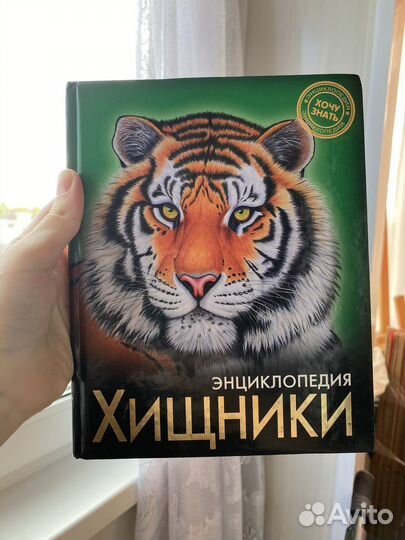 Книжка детская