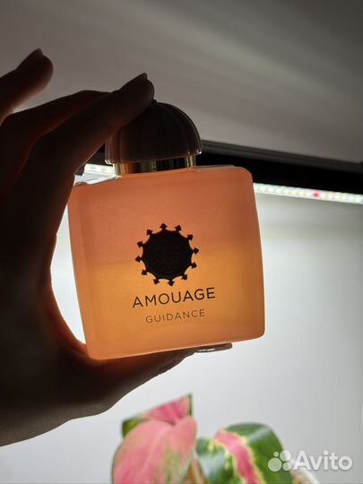 Amouage guidance