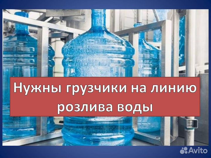 Грузчик-Комплектовщик в цех розлива воды