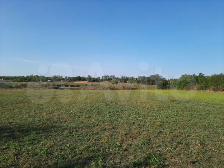 Участок 42 сот. (ИЖС)