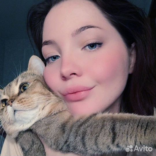 Рассмотрю варианты