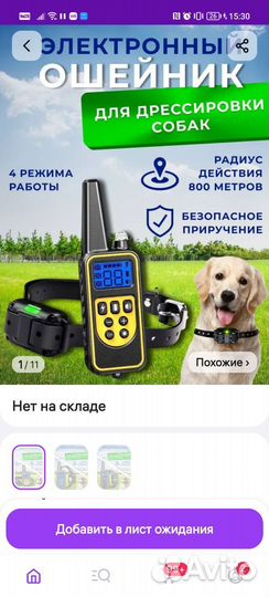 Строгий ошейник