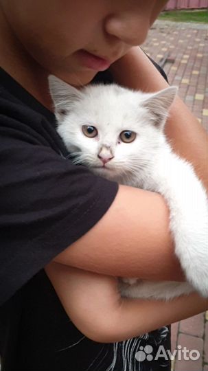 Малышка в дар