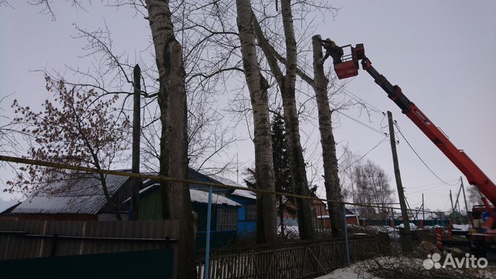 Спил деревьев, расчистка участка, обрезка веток