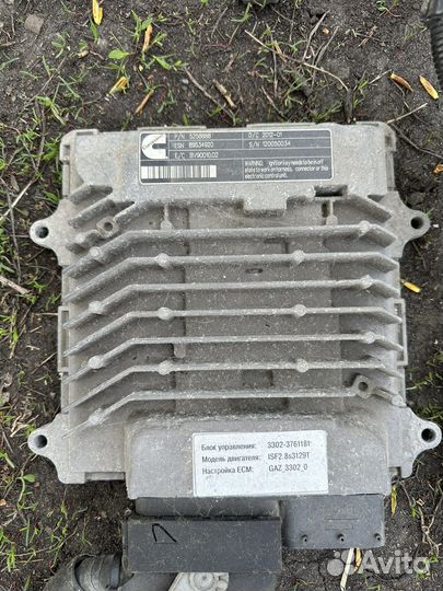 Мозги эбу на газель Cummins с косой