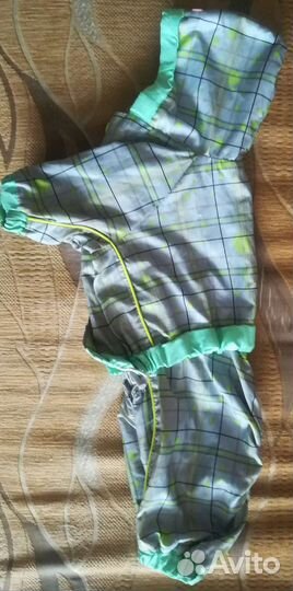 Дождевик для маленькой собаки мальчика