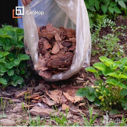 Мульча кора лиственницы