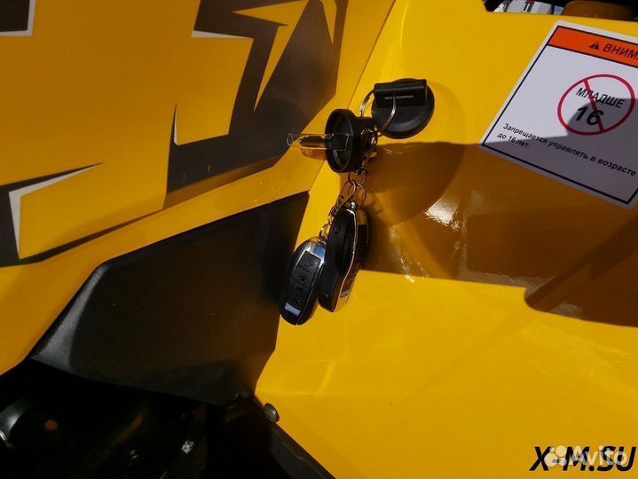 Квадроцикл motoland (мотоленд) 200 wild track X PR