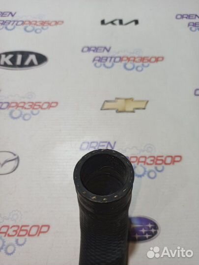 Патрубок радиатора Toyota Camry 55 2.5 2017