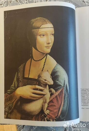 Книга Мир Леонардо