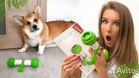 Интерактивная кость GiGwi для собак