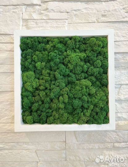 Квадратные полки со мхом/ декорация настенная