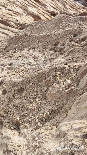 Барханник песок