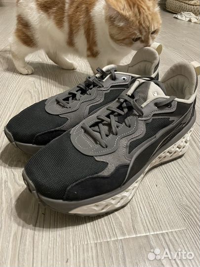 Xetic sculpt premium