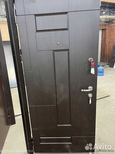 Двери с биометрическим замком DV-6802