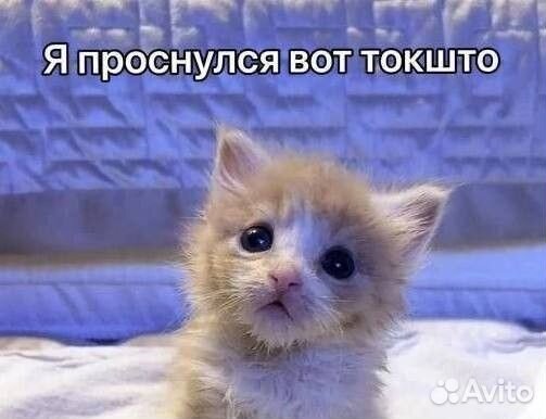 Собачки из бумаги на заказ с вещами