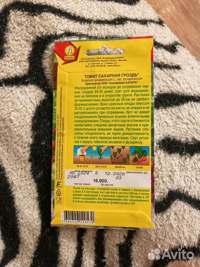 Рассада помидор черри