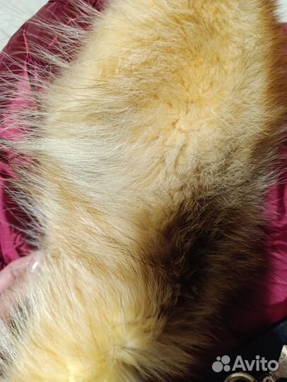 Пуховик женский