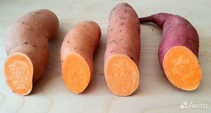 Батат клубни на рассаду