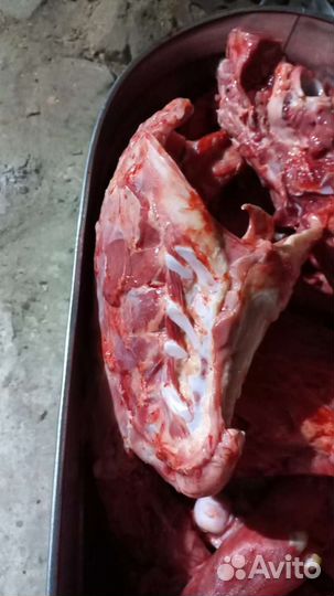 Мясо (субпродукты ) для собак, кошек