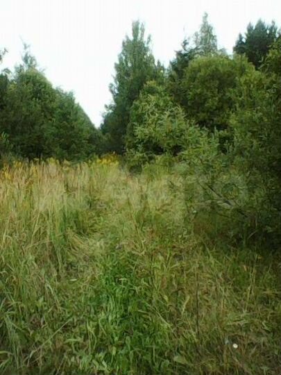 Участок 10 сот. (ИЖС)