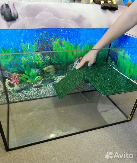 Акватерариум