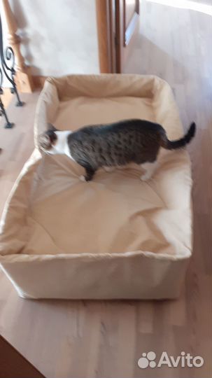 Домик для кошки новый, лежанка для крупной собаки
