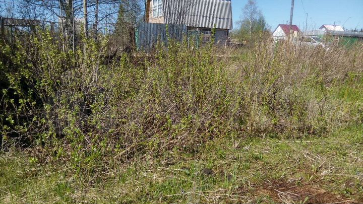 Дача 20 м² на участке 12 сот.