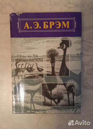 Книги Брэм А. Э