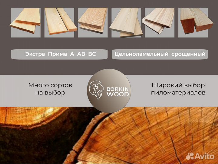 Планкен косой лиственница