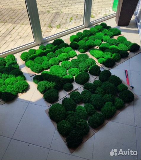 Натуральный стабилизированный мох для декора