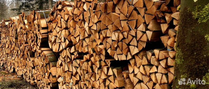 Дрова осина ольха береза