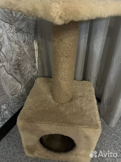 Когтеточка