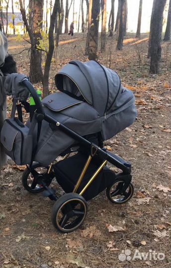 Коляска 2 в 1 adamex