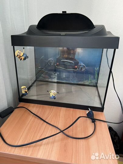 Аквариум