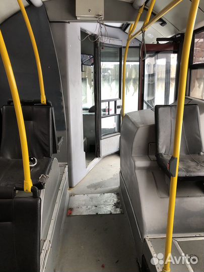 Городской автобус МАЗ 203, 2012