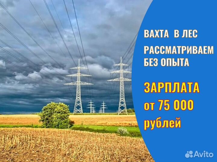 Разнорабочий вахта в лес